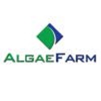 Algae Farm Airdrop